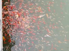 -宝盖山风景区-停车场