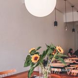 咖啡日记丨雪蘭莪PJ探店