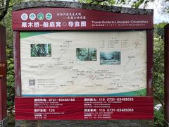-大围山国家森林公园