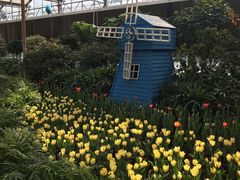 -南宫五洲植物乐园