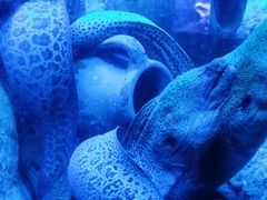 -太平洋海底世界