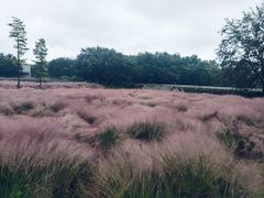 -江苏三台山国家森林公园