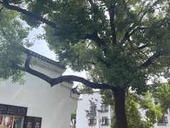 -涵家味土菜馆·徽州一绝臭鳜鱼(三河古镇店)