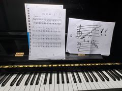 -梅纳·钢琴声乐架子鼓Mena Music(双井店)