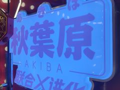 -天天玩X秋葉原日系动漫游戏中心