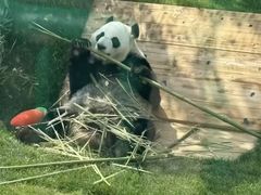 -无锡动物园·太湖欢乐园