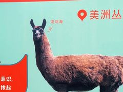 -广州长隆野生动物世界