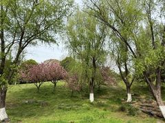 -钟山体育运动公园