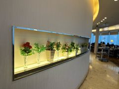 -云中捞高空旋转餐厅(商茂世纪广场店)