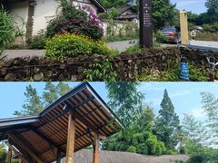 -桤木河湿地公园