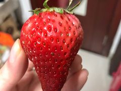 -小杨生煎(湟普汇店)