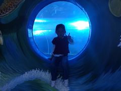 -多彩贵州城极地海洋世界