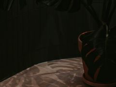 -So Acai(天河店)