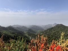 -泰山风景名胜区