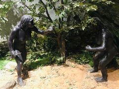 -北京周口店北京人遗址博物馆