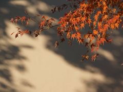-南浔古镇