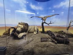 -国家自然博物馆