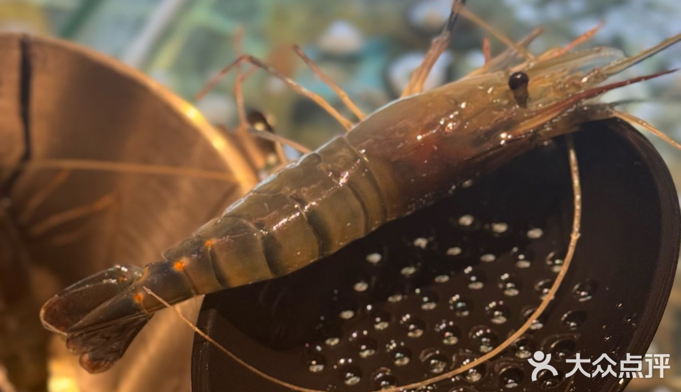 北京|教你吃海鲜自助天花板怎么回本🦞