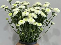 -浙江省中医院(湖滨院区)