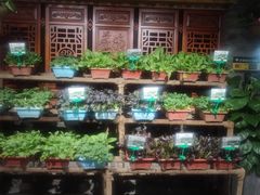 -和院老火锅铜锅烧烤海鲜(朱雀大街店)
