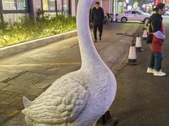 -巢湖名吃·东关老鹅汤(江南风情街店)