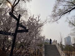-迎泽公园