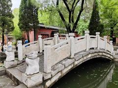 -淄博聊斋城景区