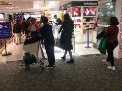 -日上免税行(浦东机场五店)