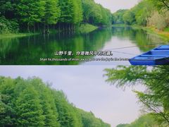 -贡湖湾湿地公园