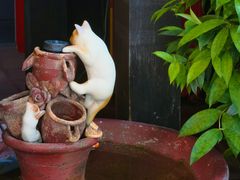 -清迈女子监狱马杀鸡(无分店)