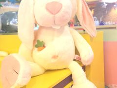 -PAWTOY爪e玩偶店(天兴罗斯福店)