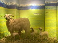 -清真·益鑫羊肉手抓馆(花园北街店)