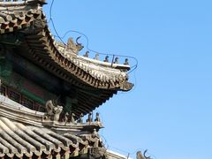 -颐和园