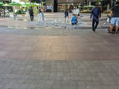 -中粮·祥云小镇