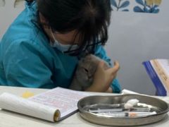 -pd派德宠物中心医院24H急重症·眼科中心·血液透析中心(嵩山北路店)