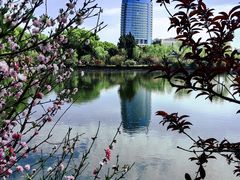 -无锡蠡湖国家湿地公园-蠡园