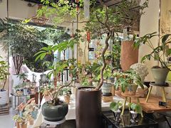 -弗劳尔花艺坊(龙涛店)