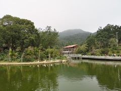 -广州市帽峰山景区