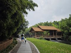 -杭州植物园
