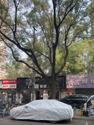 -LJOY丽锦造型·烫发染发