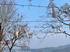 -天目湖涵田半山温泉
