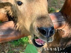 -济南野生动物世界