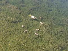 -千姿湖生态旅游景区