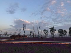 -盘龙城国家考古遗址公园