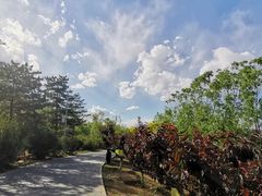 -永定河休闲森林公园