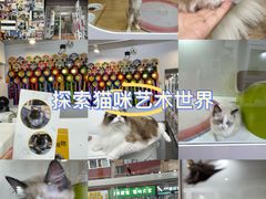 -青奢宠物·青奢猫舍