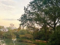 -西溪国家湿地公园