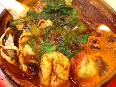 纯菜粉丝砂锅-清真·马文砂锅大全(麦苋街店)