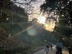-龟山风景区-龟山电视塔