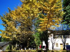 -山王坪喀斯特国家生态公园